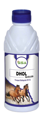 DHOL