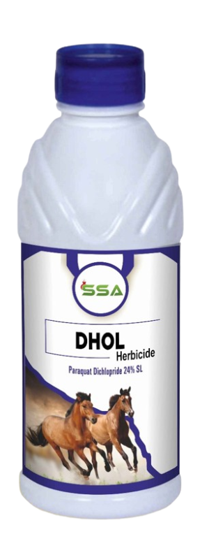 DHOL