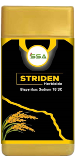 STRIDEN