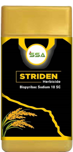 STRIDEN