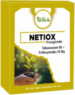 NETIOX