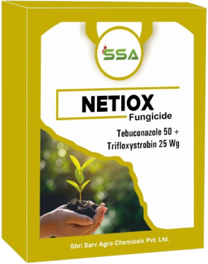 NETIOX
