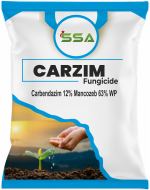 CARZIM