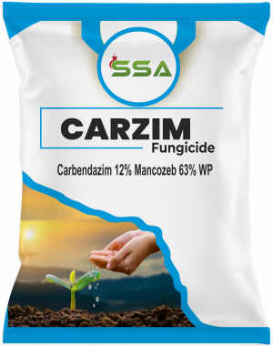 CARZIM