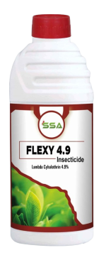 Flexy 4.9
