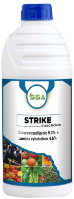 Strike