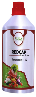 Redcap