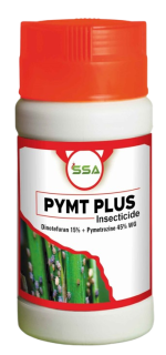 Pymt Plus