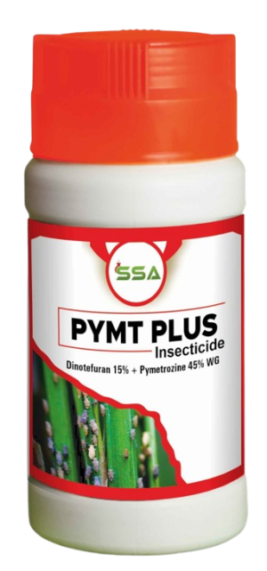 Pymt Plus