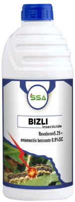 Bizli