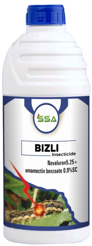 Bizli