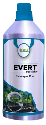 Evert