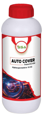 Auto Cover