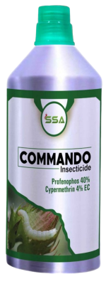Commando